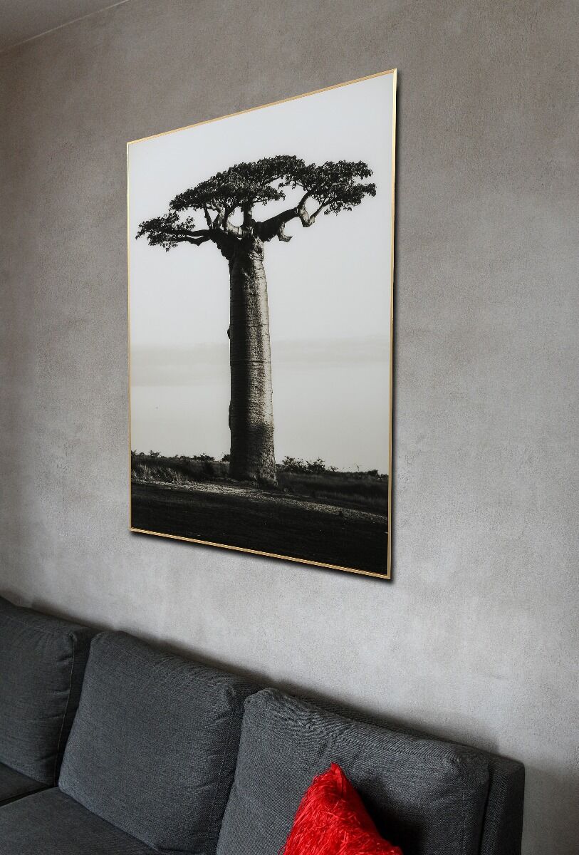 Grafika na szkle Baobab 80x120x3cm