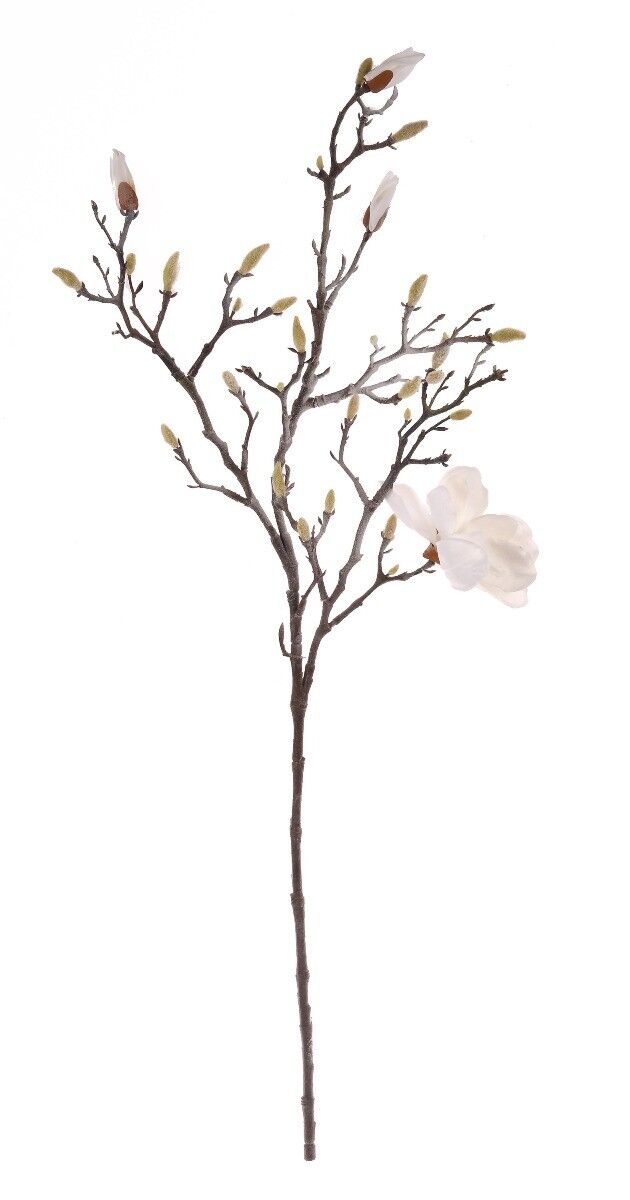Gałązka magnolia ośnieżona 104cm