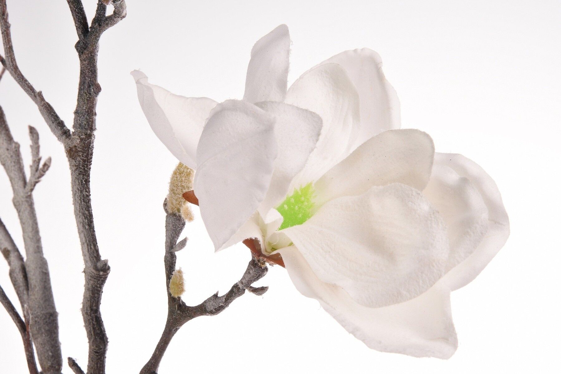 Gałązka magnolia ośnieżona 104cm