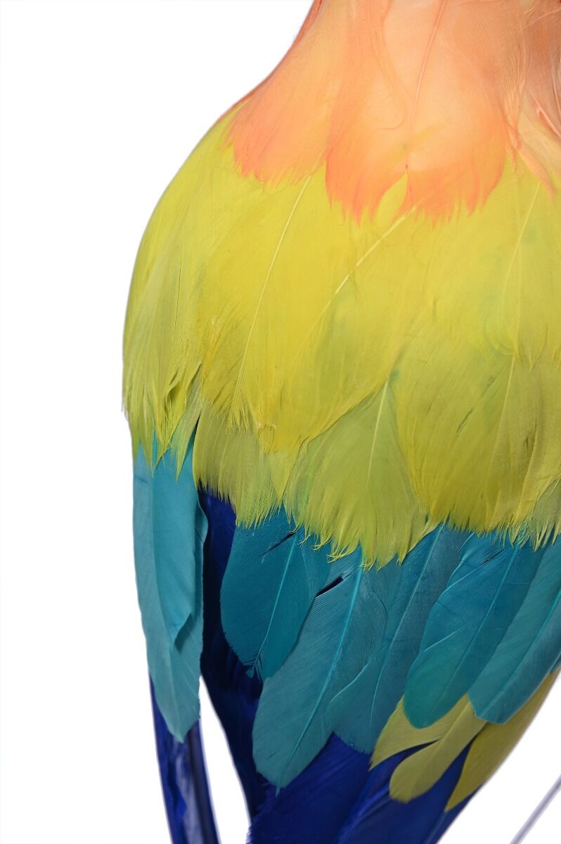Ozdoba Papuga 46x13x14cm
